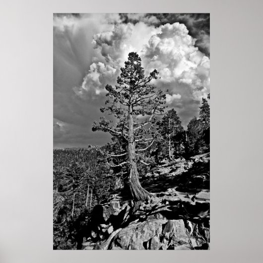 Summer storm Lake Tahoe Poster (Voorkant)
