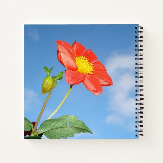 Summer Strawberry Blossom Personalized Notitieboek (Achterkant)