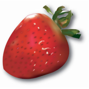 Summer Strawberry Magnet Fotobeeldje Magneet