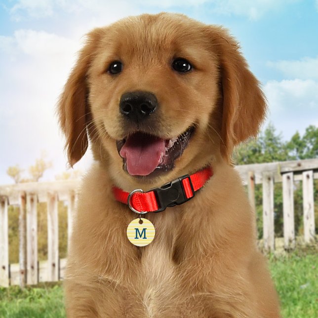 Summer Stripes Gepersonaliseerde Monogram ID Dog L Huisdierpenning (Creator heeft geüpload)