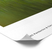 Summer Suds Poster (Hoek)