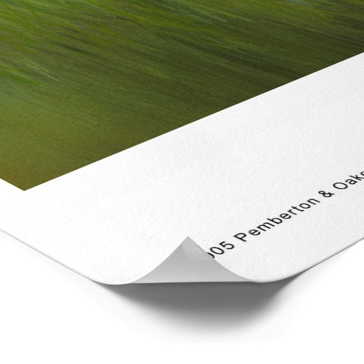 Summer Suds Poster (Hoek)