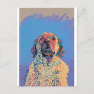 Summer Sun Briefkaart