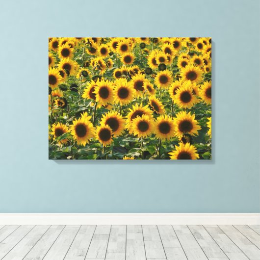 Summer Sunflower Field Canvas Afdruk (Insitu (Houten vloer))