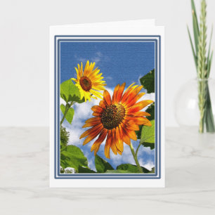 Summer Sunflower Garden Kaart