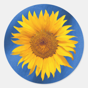 Summer Sunflower Royal Blue Wedding Favor Ronde Sticker