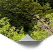 Summer Sunset at Snake River Overlook Poster (Hoek)