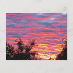 Summer Sunset Briefkaart