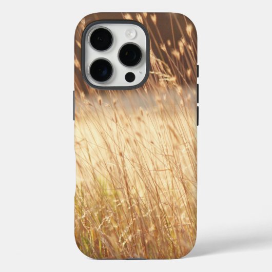 Summer Sunset Field Grass Case-Mate iPhone Case (Achterkant)