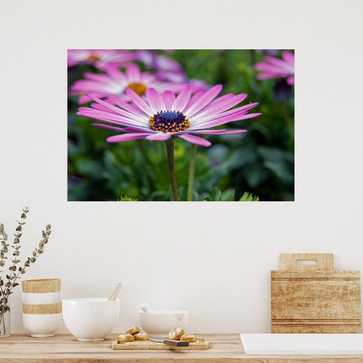 Summer Sunshine Poster (Keuken)