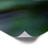 Summer Sunshine Poster (Hoek)