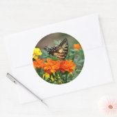 Summer - Swallowtail Butterfly and  Marigold Ronde Sticker (Envelop)
