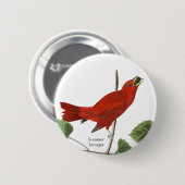 Summer Tanager, Audubon Red Bird, Birdwatcher Bird Ronde Button 5,7 Cm (Voorkant /achterkant)