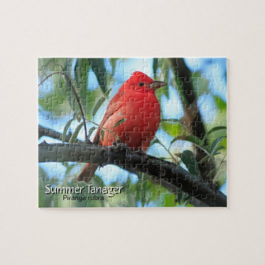 Summer Tanager Bird Legpuzzel (Horizontaal)
