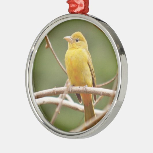 Summer Tanager Metalen Ornament (Links)
