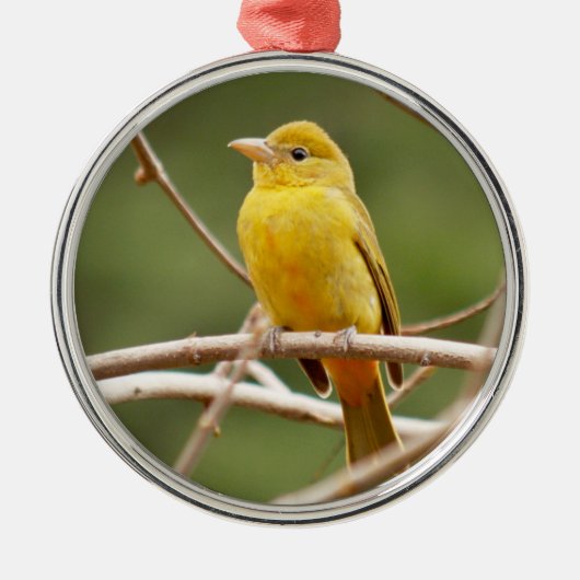 Summer Tanager Metalen Ornament (Voorkant)