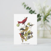 Summer Tanager van John Audubon Briefkaart (Staand voorkant)
