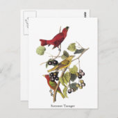 Summer Tanager van John Audubon Briefkaart (Voorkant / Achterkant)