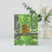 Summer Tanager (vrouw) Briefkaart (Staand voorkant)
