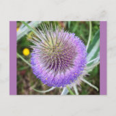 Summer Thistle Flower Briefkaart (Voorkant)
