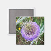 Summer Thistle Flower Magneet (Voorkant / Achterkant)
