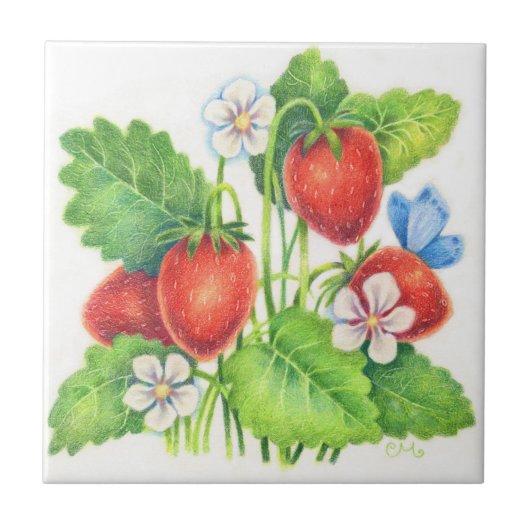 Summer Treat - Aardbei Tile Tegeltje (Voorkant)