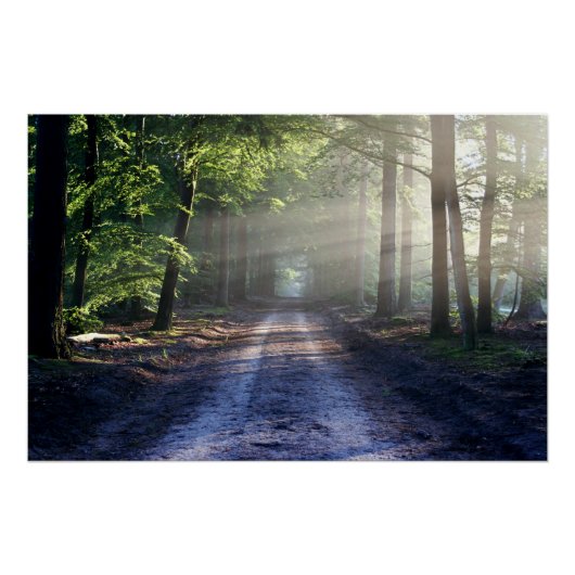 Summer Trees die Dirt Road beslaan Perfect Poster (Voorkant)