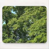 Summer Trees Muismat (Voorkant)