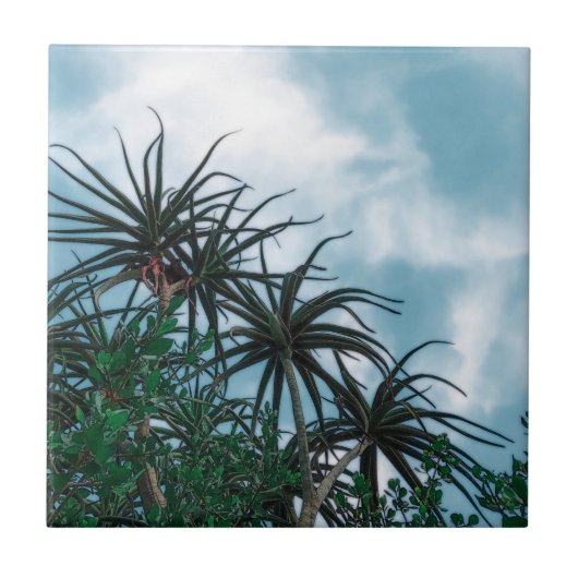 Summer Vibes Palm Tree Cactus Bleek Green Tegeltje (Voorkant)