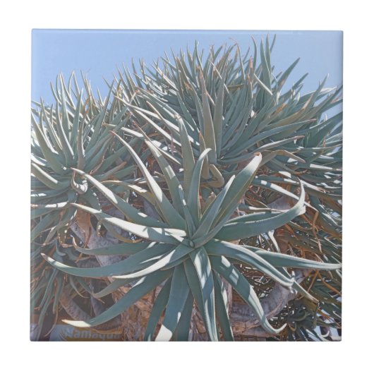 Summer Vibes Palm Tree Cactus Bleek Green Tegeltje (Voorkant)