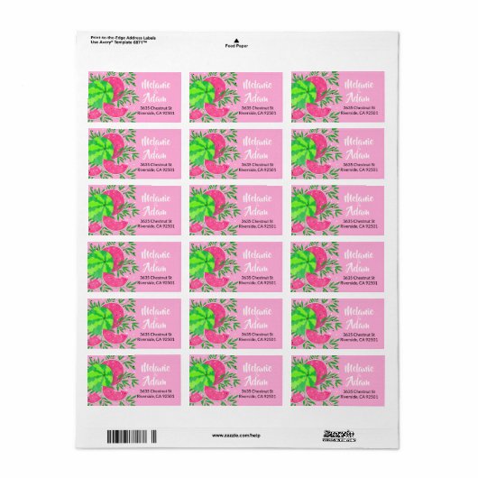 Summer Watermelon Branches Bright Tropical Etiket (Full Sheet)
