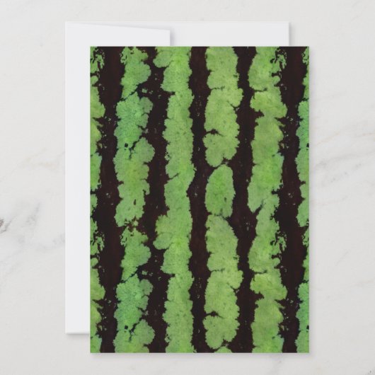 Summer Watermelon Mason Jar Retirement Party Kaart (Achterkant)