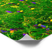 Summer Wildbloemen en Pond Poster (Hoek)