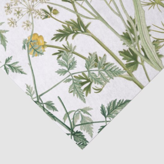 Summer Wildflower Floral Dragonfly Bijentraft Tissuepapier (Detail)