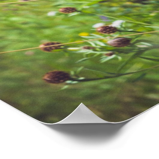 Summer Wildflower Meadow Poster (Hoek)