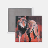 Summer Wolf 2001 Magneet (Voorkant / Achterkant)