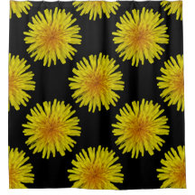 Summer Yellow Dandelion Flower on any Color