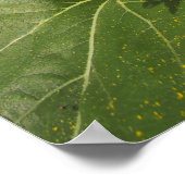 Summer Yellow Sunflower Foto Natuur Wall Poster (Hoek)