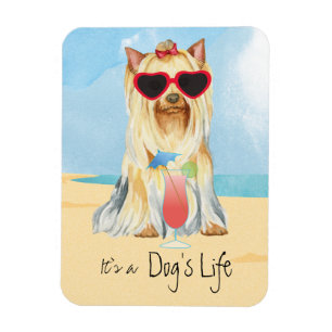 Summer Yorkie Magneet