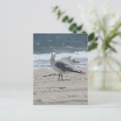 Summer Zee Gull Briefkaart (Staand voorkant)