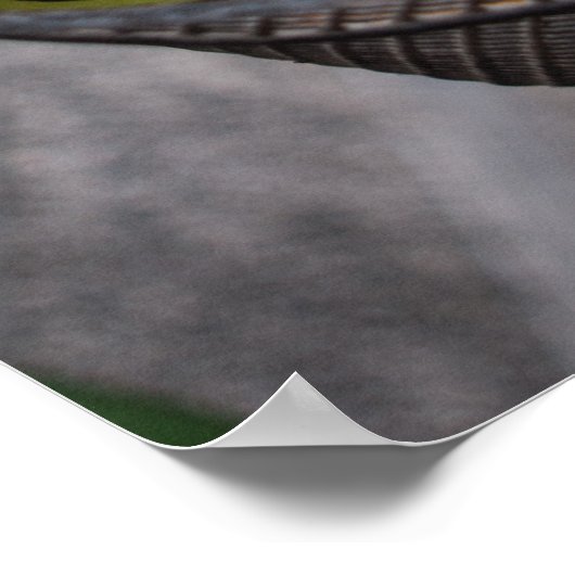 Summer Zuchinni Blossom Poster (Hoek)