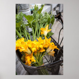Summer Zuchinni Blossom Poster