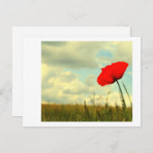 Summerdroom Briefkaart (Voorkant / Achterkant)