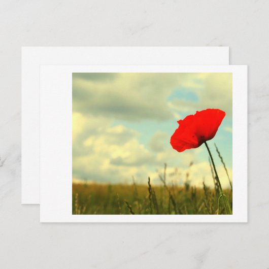 Summerdroom Briefkaart (Voorkant / Achterkant)