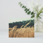 Summerfield Briefkaart (Staand voorkant)