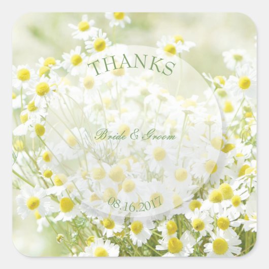 Summerfield Daisies Kamille Bloem Bruiloft Bedankt Vierkante Sticker (Voorkant)
