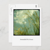 Summerfield Sky Grasses Briefkaart (Voorkant / Achterkant)