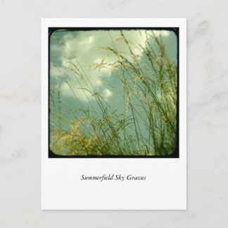 Summerfield Sky Grasses Briefkaart