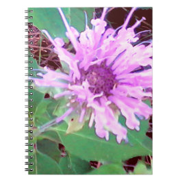 SummerFlower.jpg Notitieboek