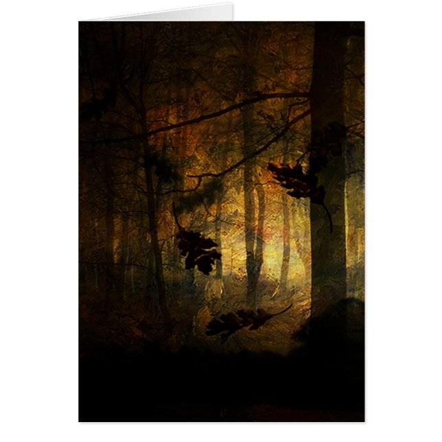 Summers Bane (Voorkant)